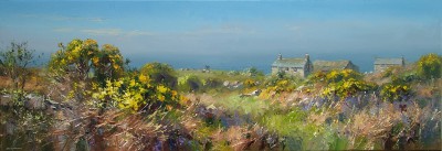 REX PRESTON - clear spring day, rosemergy, cornwall